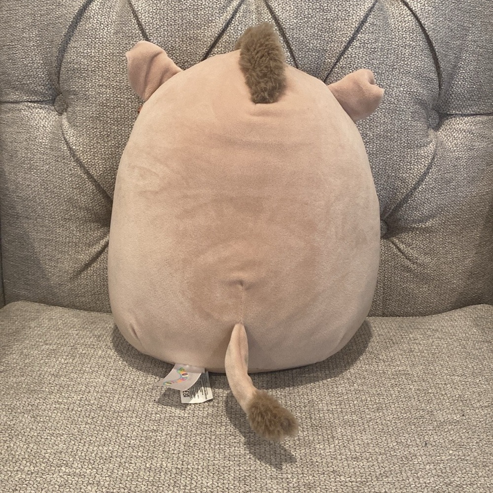 NWOT 10” Warren the Boar Squishmallow - NO TAG - MINT CONDITION!  squishmallows - Picture 2 of 4